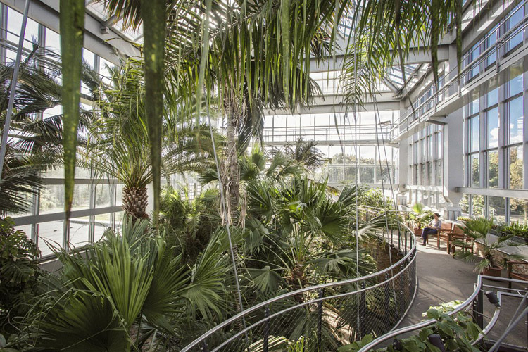 Gruson_Gewächshäuser-Palmenhaus1 Gruson_Gewächshäuser-Palmenhaus1